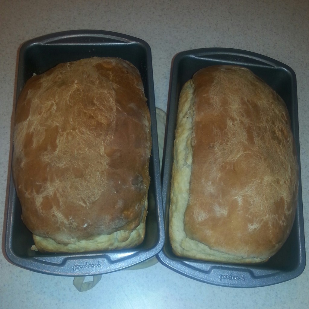 Mark I Bread