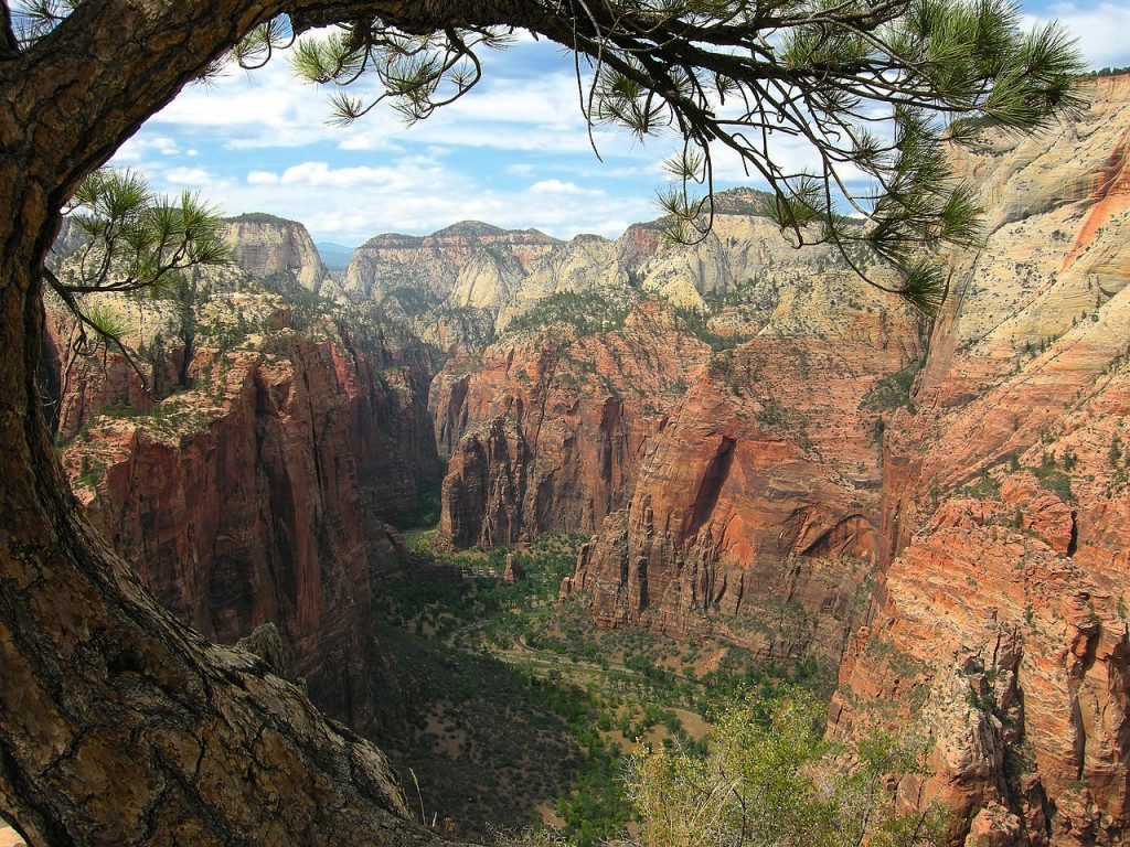 View from the Angels Landing trail at Zion National Park. By Tobias Alt. CC-BY-SA 4.0.